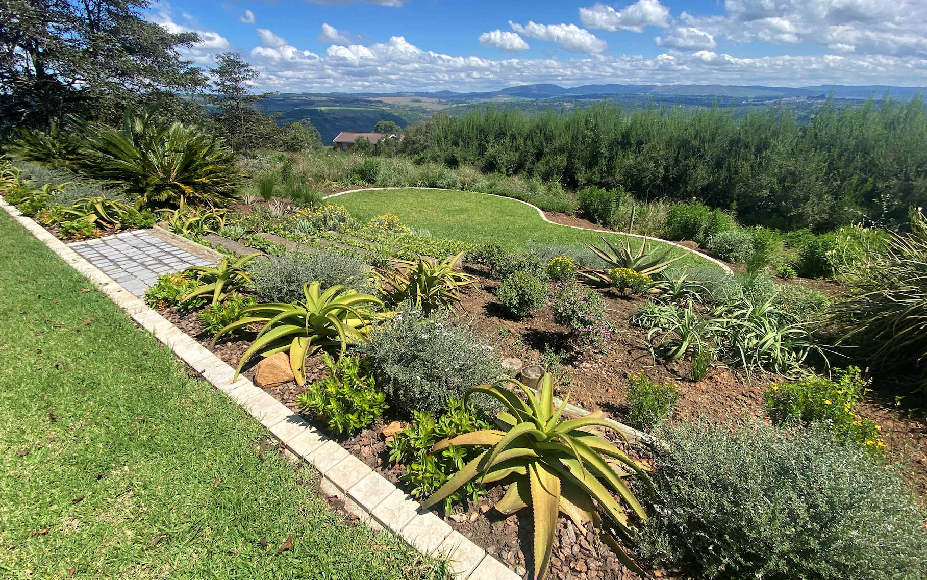 A Nkosi Nursery landscaped garden